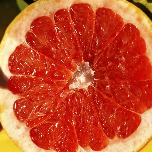 pomelo abierto por la mitad