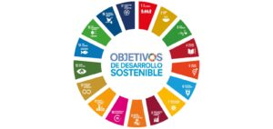 imagen ODS